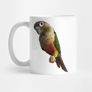 Green Cheek Conure Parrot Bird design, Love for birds Mug